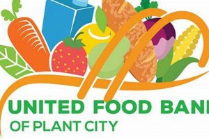 Plant City Food Bank: Fight Hunger, Support Locals! World’s Most Delicious Foods: Must-Try Dishes from Every Country Plant City Food Bank: Fight Hunger, Support Locals! | World’s Most Delicious Foods: Must-Try Dishes from Every Country
