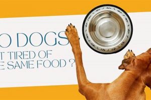 Do Dogs Get Bored? Varying Their Food Everyday: Expert Tips World’s Most Delicious Foods: Must-Try Dishes from Every Country Do Dogs Get Bored? Varying Their Food Everyday: Expert Tips | World’s Most Delicious Foods: Must-Try Dishes from Every Country