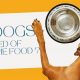 Do Dogs Get Bored? Varying Their Food Everyday: Expert Tips | World’s Most Delicious Foods: Must-Try Dishes from Every Country