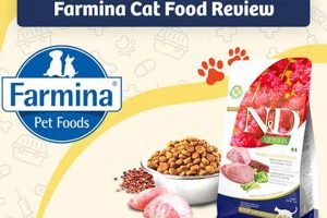 Farmina Cat Food Reviews: Is It The Best Choice? World’s Most Delicious Foods: Must-Try Dishes from Every Country Farmina Cat Food Reviews: Is It The Best Choice? | World’s Most Delicious Foods: Must-Try Dishes from Every Country