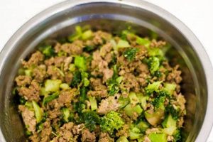 Best Dog Food With Kale: Health & Nutrition World’s Most Delicious Foods: Must-Try Dishes from Every Country Best Dog Food With Kale: Health & Nutrition | World’s Most Delicious Foods: Must-Try Dishes from Every Country