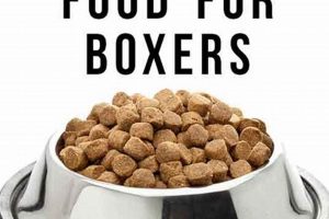 Guide: Best Food for Boxer Puppy (Growth & Health!) World’s Most Delicious Foods: Must-Try Dishes from Every Country Guide: Best Food for Boxer Puppy (Growth & Health!) | World’s Most Delicious Foods: Must-Try Dishes from Every Country