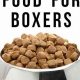 Guide: Best Food for Boxer Puppy (Growth & Health!) | World’s Most Delicious Foods: Must-Try Dishes from Every Country