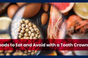 Can You Really Eat Hard Food with a Permanent Crown? Guide World’s Most Delicious Foods: Must-Try Dishes from Every Country Can You Really Eat Hard Food with a Permanent Crown? Guide | World’s Most Delicious Foods: Must-Try Dishes from Every Country