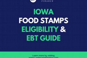 Iowa Food Stamps: Income Limits & Guidelines 2024 World’s Most Delicious Foods: Must-Try Dishes from Every Country Iowa Food Stamps: Income Limits & Guidelines 2024 | World’s Most Delicious Foods: Must-Try Dishes from Every Country