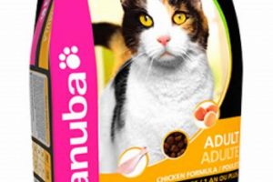 Best Eukanuba Cat Food: Fueling Feline Health Today! World’s Most Delicious Foods: Must-Try Dishes from Every Country Best Eukanuba Cat Food: Fueling Feline Health Today! | World’s Most Delicious Foods: Must-Try Dishes from Every Country