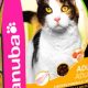 Best Eukanuba Cat Food: Fueling Feline Health Today! | World’s Most Delicious Foods: Must-Try Dishes from Every Country