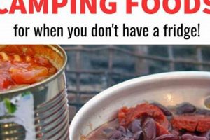 Top Best Non Perishable Food for Camping: Guide & List World’s Most Delicious Foods: Must-Try Dishes from Every Country Top Best Non Perishable Food for Camping: Guide & List | World’s Most Delicious Foods: Must-Try Dishes from Every Country