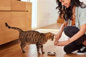 Guar Gum in Cat Food: Benefits, Risks & Best Choices World’s Most Delicious Foods: Must-Try Dishes from Every Country Guar Gum in Cat Food: Benefits, Risks & Best Choices | World’s Most Delicious Foods: Must-Try Dishes from Every Country