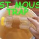 Easy Guide: Best Mouse Trap Food + Tips & Tricks! | World’s Most Delicious Foods: Must-Try Dishes from Every Country