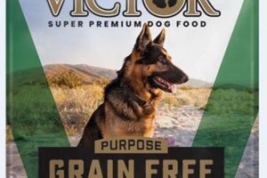 Best Victor Hero Dog Food: Fuel Your Hero Pup! World’s Most Delicious Foods: Must-Try Dishes from Every Country Best Victor Hero Dog Food: Fuel Your Hero Pup! | World’s Most Delicious Foods: Must-Try Dishes from Every Country