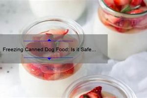 Freezing Canned Dog Food: Is it Safe & Smart? World’s Most Delicious Foods: Must-Try Dishes from Every Country Freezing Canned Dog Food: Is it Safe & Smart? | World’s Most Delicious Foods: Must-Try Dishes from Every Country