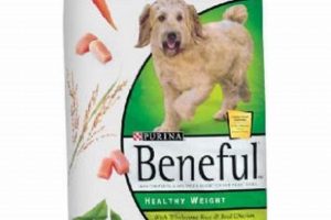 Theisens Dog Food: Best Value? Your Dog Will Love [Year]! | World’s Most Delicious Foods: Must-Try Dishes from Every Country