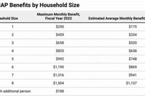 Estimate MS Food Stamps: Calculator & Guide World’s Most Delicious Foods: Must-Try Dishes from Every Country Estimate MS Food Stamps: Calculator & Guide | World’s Most Delicious Foods: Must-Try Dishes from Every Country