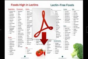 Get Your Lectin Free Food List PDF Guide Now! World’s Most Delicious Foods: Must-Try Dishes from Every Country Get Your Lectin Free Food List PDF Guide Now! | World’s Most Delicious Foods: Must-Try Dishes from Every Country