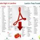 Get Your Lectin Free Food List PDF Guide Now! | World’s Most Delicious Foods: Must-Try Dishes from Every Country