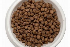 Best Air Dried Cat Food? Healthy Air Dried Cat Food Guide World’s Most Delicious Foods: Must-Try Dishes from Every Country Best Air Dried Cat Food? Healthy Air Dried Cat Food Guide | World’s Most Delicious Foods: Must-Try Dishes from Every Country
