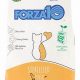 Forza Cat Food: Nourishing Meals for Happy Cats! | World’s Most Delicious Foods: Must-Try Dishes from Every Country