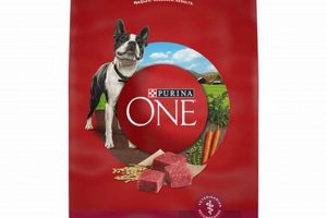Best Beef and Rice Dog Food: Healthy & Balanced Meals World’s Most Delicious Foods: Must-Try Dishes from Every Country Best Beef and Rice Dog Food: Healthy & Balanced Meals | World’s Most Delicious Foods: Must-Try Dishes from Every Country