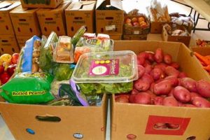 Holy Redeemer Food Pantry: Find Food & Help Today! World’s Most Delicious Foods: Must-Try Dishes from Every Country Holy Redeemer Food Pantry: Find Food & Help Today! | World’s Most Delicious Foods: Must-Try Dishes from Every Country