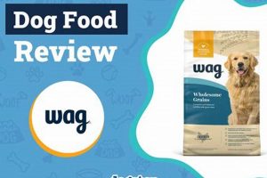 Honest Wag Dog Food Reviews: Is [Brand] Best for Your Dog? | World’s Most Delicious Foods: Must-Try Dishes from Every Country