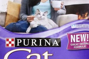 Best Gentle Cat Food: Sensitive Tummies & More! World’s Most Delicious Foods: Must-Try Dishes from Every Country Best Gentle Cat Food: Sensitive Tummies & More! | World’s Most Delicious Foods: Must-Try Dishes from Every Country