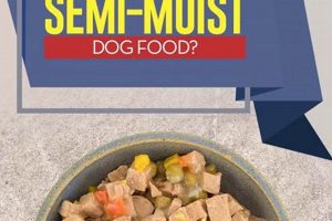 Benefits of Soft: Semi Wet Dog Food Guide for Your Dog World’s Most Delicious Foods: Must-Try Dishes from Every Country Benefits of Soft: Semi Wet Dog Food Guide for Your Dog | World’s Most Delicious Foods: Must-Try Dishes from Every Country