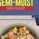 Benefits of Soft: Semi Wet Dog Food Guide for Your Dog | World’s Most Delicious Foods: Must-Try Dishes from Every Country