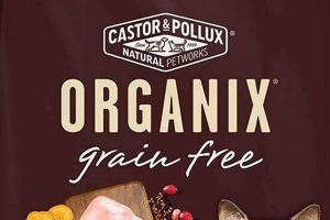 Top-Rated Best Grain Free Cat Food Dry [Guide] | World’s Most Delicious Foods: Must-Try Dishes from Every Country