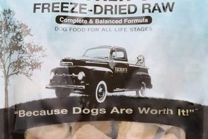 Tucker's Dog Food: The Best Meal For Your Pup [Brand Review] | World’s Most Delicious Foods: Must-Try Dishes from Every Country