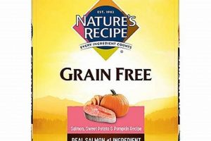 Best All Ages Dog Food: Your Dog's Complete Nutrition World’s Most Delicious Foods: Must-Try Dishes from Every Country Best All Ages Dog Food: Your Dog's Complete Nutrition | World’s Most Delicious Foods: Must-Try Dishes from Every Country