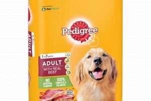 Best Beef Dry Dog Food: Your Dog's Complete Guide World’s Most Delicious Foods: Must-Try Dishes from Every Country Best Beef Dry Dog Food: Your Dog's Complete Guide | World’s Most Delicious Foods: Must-Try Dishes from Every Country