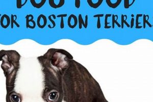 Top Rated: Best Dog Food for Boston Terriers (2024 Guide) World’s Most Delicious Foods: Must-Try Dishes from Every Country Top Rated: Best Dog Food for Boston Terriers (2024 Guide) | World’s Most Delicious Foods: Must-Try Dishes from Every Country
