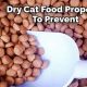 Tips: Does Dry Cat Food Spoil? + Storage Guide | World’s Most Delicious Foods: Must-Try Dishes from Every Country