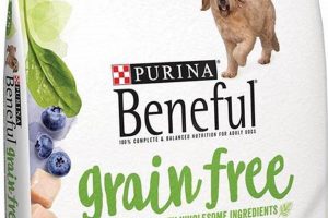 Free Guide: Is Grain Free Puppy Food Better? Tips! World’s Most Delicious Foods: Must-Try Dishes from Every Country Free Guide: Is Grain Free Puppy Food Better? Tips! | World’s Most Delicious Foods: Must-Try Dishes from Every Country