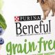 Free Guide: Is Grain Free Puppy Food Better? Tips! | World’s Most Delicious Foods: Must-Try Dishes from Every Country