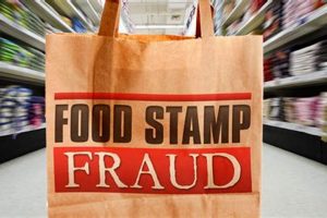 SNAP Fraud: Penalties &amp; Avoidance [Food Stamp] | World’s Most Delicious Foods: Must-Try Dishes from Every Country