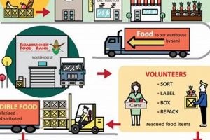 Boost Food Bank Impact: Director of Development & Comm. Role World’s Most Delicious Foods: Must-Try Dishes from Every Country Boost Food Bank Impact: Director of Development & Comm. Role | World’s Most Delicious Foods: Must-Try Dishes from Every Country