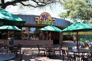 Best Food Near Houston Zoo: Top Eateries & Bites | World’s Most Delicious Foods: Must-Try Dishes from Every Country
