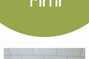 Gluten-Free Ethiopian Food: Enjoy Authentic, Delicious Dishes World’s Most Delicious Foods: Must-Try Dishes from Every Country Gluten-Free Ethiopian Food: Enjoy Authentic, Delicious Dishes | World’s Most Delicious Foods: Must-Try Dishes from Every Country