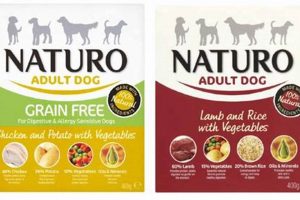 Guide to Naturo Dog Food: Healthy Choice for Your Dog World’s Most Delicious Foods: Must-Try Dishes from Every Country Guide to Naturo Dog Food: Healthy Choice for Your Dog | World’s Most Delicious Foods: Must-Try Dishes from Every Country
