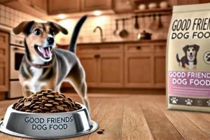 Honest Good Friends Dog Food Reviews: Is It Good? World’s Most Delicious Foods: Must-Try Dishes from Every Country Honest Good Friends Dog Food Reviews: Is It Good? | World’s Most Delicious Foods: Must-Try Dishes from Every Country