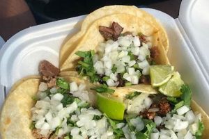 Best El Chido Taqueria Food Truck: Tacos & More! | World’s Most Delicious Foods: Must-Try Dishes from Every Country
