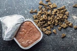 Best Pate Dog Food: Reviews & What To Look For World’s Most Delicious Foods: Must-Try Dishes from Every Country Best Pate Dog Food: Reviews & What To Look For | World’s Most Delicious Foods: Must-Try Dishes from Every Country