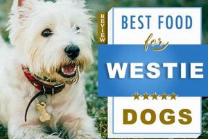 Top Westie Diet: The Best Food for West Highland Terriers Guide World’s Most Delicious Foods: Must-Try Dishes from Every Country Top Westie Diet: The Best Food for West Highland Terriers Guide | World’s Most Delicious Foods: Must-Try Dishes from Every Country