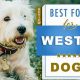 Top Westie Diet: The Best Food for West Highland Terriers Guide | World’s Most Delicious Foods: Must-Try Dishes from Every Country