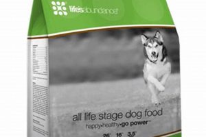 The Guide to Abundance Dog Food: Benefits & Brands | World’s Most Delicious Foods: Must-Try Dishes from Every Country