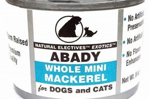 Best Abady Cat Food: Nutrition for Happy Cats! World’s Most Delicious Foods: Must-Try Dishes from Every Country Best Abady Cat Food: Nutrition for Happy Cats! | World’s Most Delicious Foods: Must-Try Dishes from Every Country