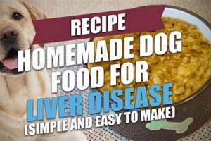 Best Dog Food for Liver Damage: Support & Care | World’s Most Delicious Foods: Must-Try Dishes from Every Country