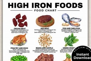 Best Cat Food High in Iron: Boost Your Cat's Health! World’s Most Delicious Foods: Must-Try Dishes from Every Country Best Cat Food High in Iron: Boost Your Cat's Health! | World’s Most Delicious Foods: Must-Try Dishes from Every Country